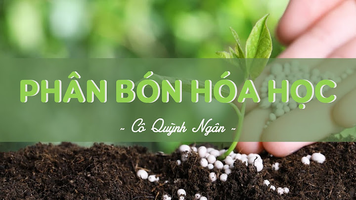 Vẽ sơ đồ tư duy bài phân bón hóa học