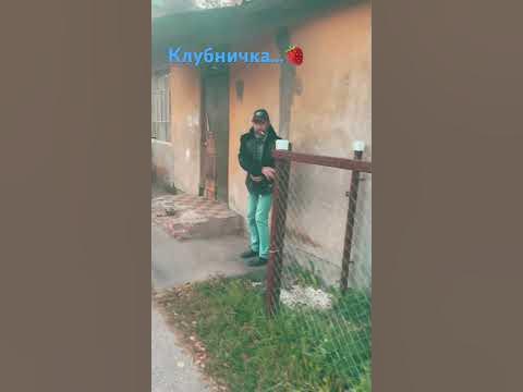 Шустрик… - YouTube