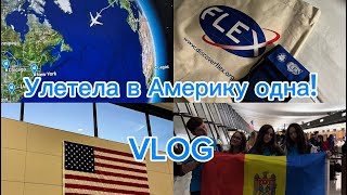 : Vlog:      FLEX    ! 