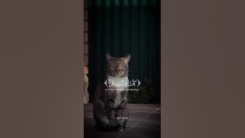 #quran #اكسبلور #قرآن #لايك #islamic #islam #ترند #تلاوة_خاشعة #قرآن_كريم #قران_كريم #سعد_الغامدي