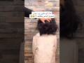 الحمد الله النتيجه اللي ترضيني زيت سوان سهل استخدامه مره بالأسبوع لمده نص ساعه زيت سوان10 سوان الحمد الله النتيجه اللي ترضيني زيت سوان سهل استخدامه مره بالأسبوع لمده نص ساعه زيت سوان10 سوان