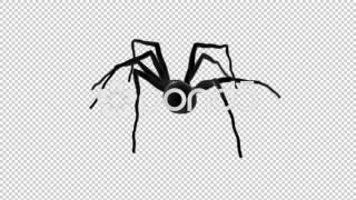 Spider walk cycle loop side