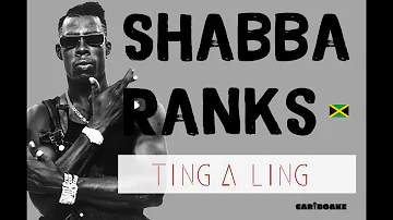 Shabba Ranks - Ting A Ling (Dancehall Lyrics provided by Cariboake The Official Karaoke Event)