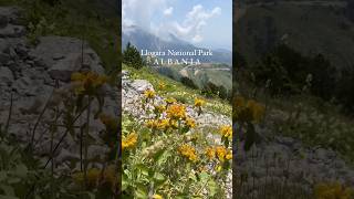 Llogara National Park in Albania albania visitalbania