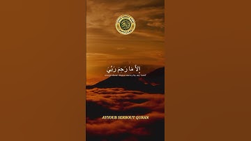 سورة يوسف الآية 53 تلاوة شيخ الغامدي