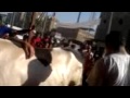 صلاح الجزار البراجيل صلاح الجزار البراجيل