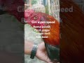 ciri ayam pukul speedd