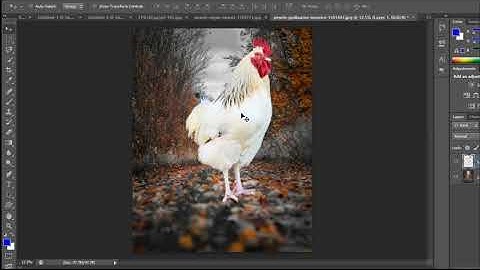 How To joint picture photo editing green screen background colour  in photoshop cc part bp - 17