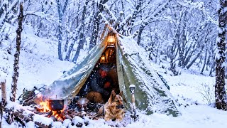 Winter Bushcraft Camp in Mountains _ Survival camping in heavy snowfall _ Secrets of Survival.