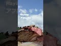 葉山絶景ドライブ×絶品グルメ アフロパン・葉山マリーナ・マーロウのプリン 4K