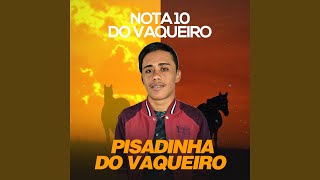 Saudade do Neguinho