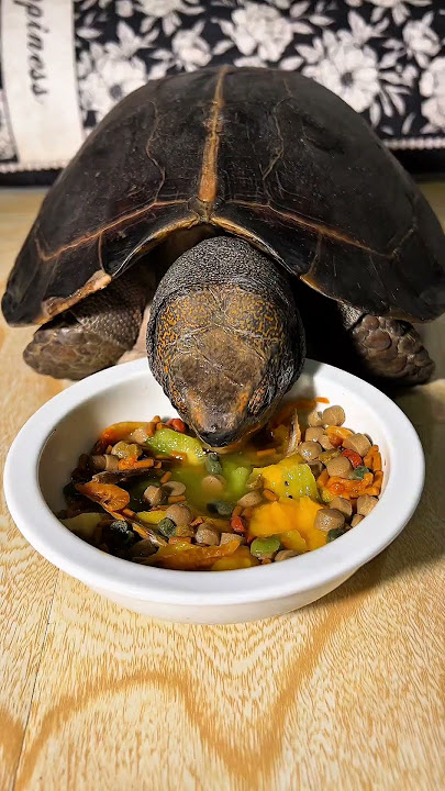 Sweet Moments #shorts