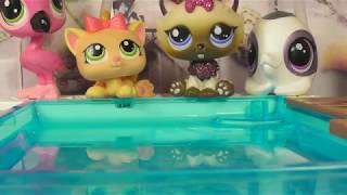 LPS сериал: Спортсменка 12 серия LPS сериал: Спортсменка 12 серия