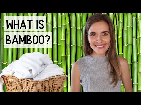 WHAT IS BAMBOO? | S1:E12 | Fibers and Fabrics | Beate Myburgh