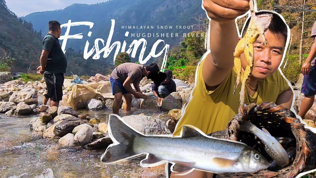 Village River Fishing in Nepal Himalayan Snow Trout असला माछा YouTube
