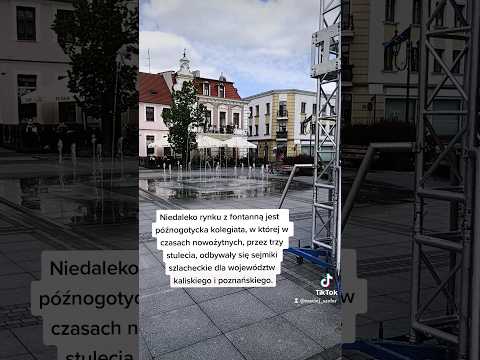 Na wycieczkę do Środy Wielkopolskiej #wielkopolska #travel #historia #podróżnik #news #shorts