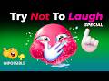 FUNNY VIDEOS 😝 Try Not To Laugh Challenge 🤣 (VERY HARD) - Hilarious Viral Clips YLYL Part 149!!
