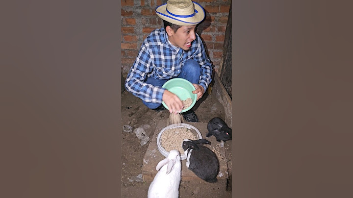 Los CONEJOS de PAPÁ 🐰 #shorts #viral