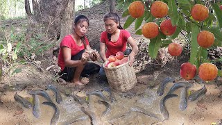 Survival skills: Catch catfish and Pick wild red apple for food in forest- Catfish roasted for diner