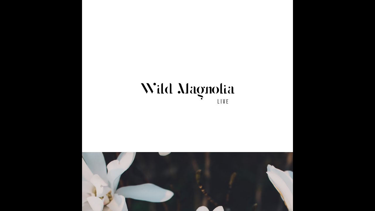 Watch Magna Carda Live Sessions - "Wild Magnolia" ft. Ari Burns on YouTube Watch Magna Carda Live Sessions - "Wild Magnolia" ft. Ari Burns on YouTube