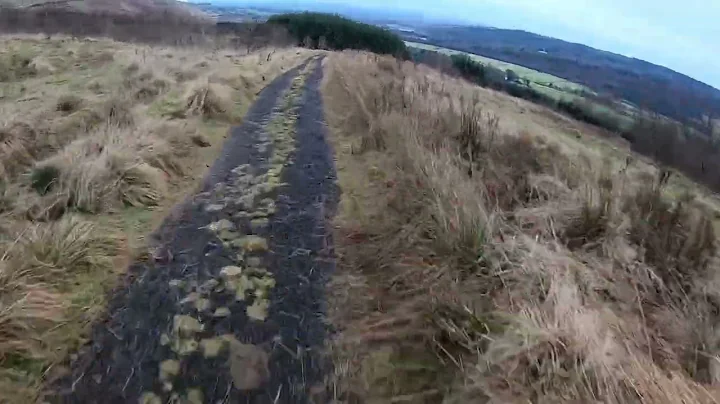 Lennox Forest and Mugdock MTB Ride