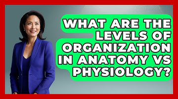 What Are The Levels Of Organization In Anatomy Vs Physiology? - All About Anatomy Answers