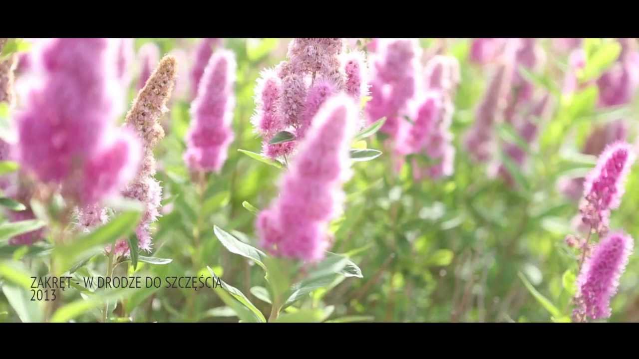 ZAKRĘT - W drodze do szczęścia (OFFICIAL VIDEO)