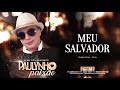 Paulynho Paixão - Meu Salvador