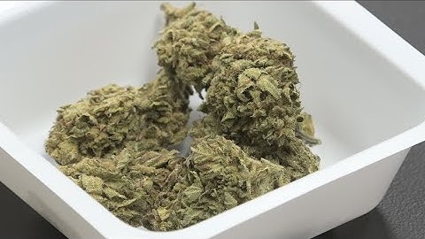 First hand look at a cannabis testing lab in WNY