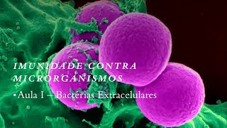IMUNIDADE CONTRA MICRORGANISMOS. Aula I: bactérias extracelulares