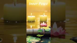 In The Midst Of Your Busy Schedule, Find Solace In The Melodies That Heal