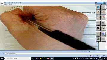 AQA Biology Paper 1 - Transport of substances 6 mark question! Walking talking mock.