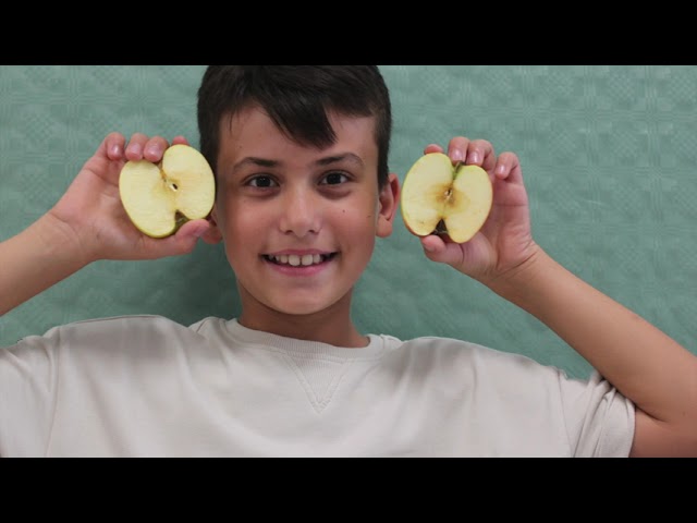 Guanta Vitamine - Rhythmusprojekt der 1a Klasse