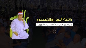 النمل والقصص | تلاوة ابداعية للشيخ حجاج الهنداوي | جزيرة أبو طالب القناطر الخيرية 12 7 2024