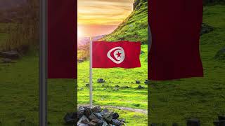 Tunisia Internationa Flag