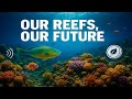 The Last Chance for Coral Reefs: How We Can Save Ocean Rainforests by 2030