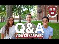 Q&amp;A SOBRE HARVARD: comida, clases, vida social...