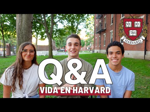 Video: ¿Harvard tiene clases de cocina?