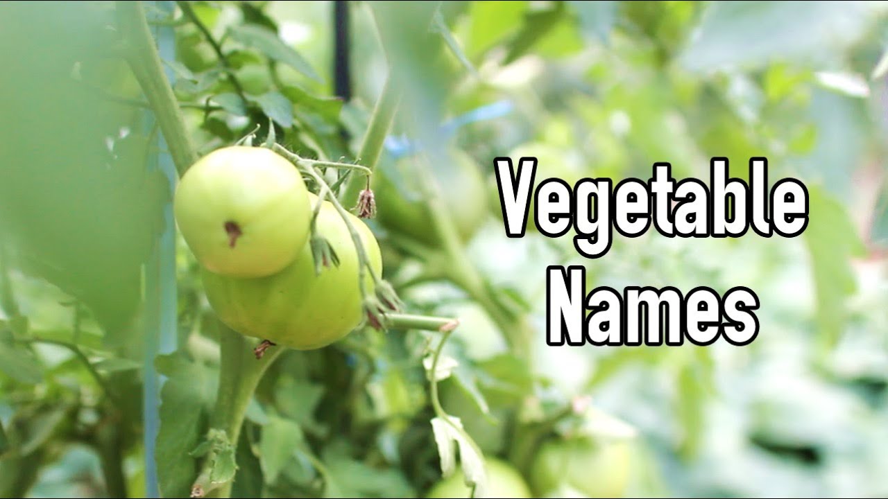 Vegetable Names in Korean YouTube