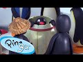 Pingu Enjoys Art 🐧 | Pingu - Official Channel | Cartoons For Kids