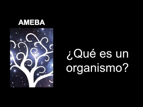 Video: Que Es Un Organismo