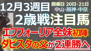 【注目２歳馬】ダビスタ生みの親がリアルダビスタ！「ゲームカレンダー」祖母、母も薗部博之氏の「これが本当のリアルダビスタ」☆エフフォーリア全妹「エヴィーヴァ」も注目 screenshot 5