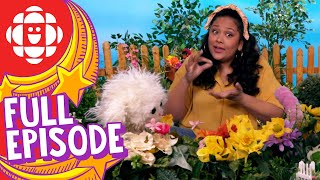 Silly Paws | Flowers | CBC Kids