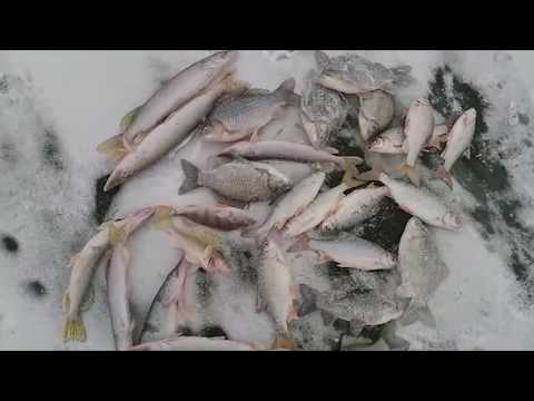 Обзор с рыбных мест №52 Декабрь Рыбалка в Казахстане Рыбалка в Астане
