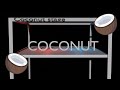 The Coconut Song - (Animation)