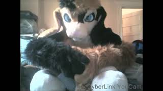 How Do You Clean Your Fursuit?