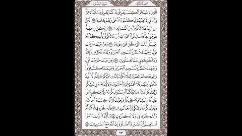 القرآن الكريم بصوت الشيخ سعد الغامدى صفحات صفحة رقم ( 23 )