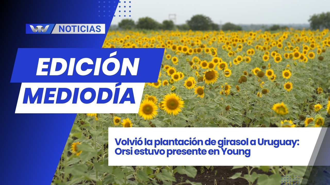 Edición Mediodía 5/03 | Volvió la plantación de girasol a Uruguay: Orsi estuvo presente en Young