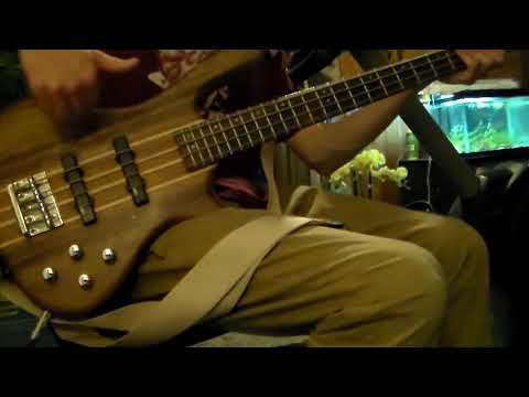 new-washburn-taurus-bass