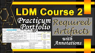 Required Artifacts - Practicum Portfolio - LDM Couse 2 screenshot 5